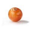 Yellow fresh onion